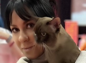 01.07-02.07.2023 International Cat Show 